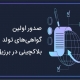 صدور اولین گواهی‌های تولد بلاکچینی در برزیل